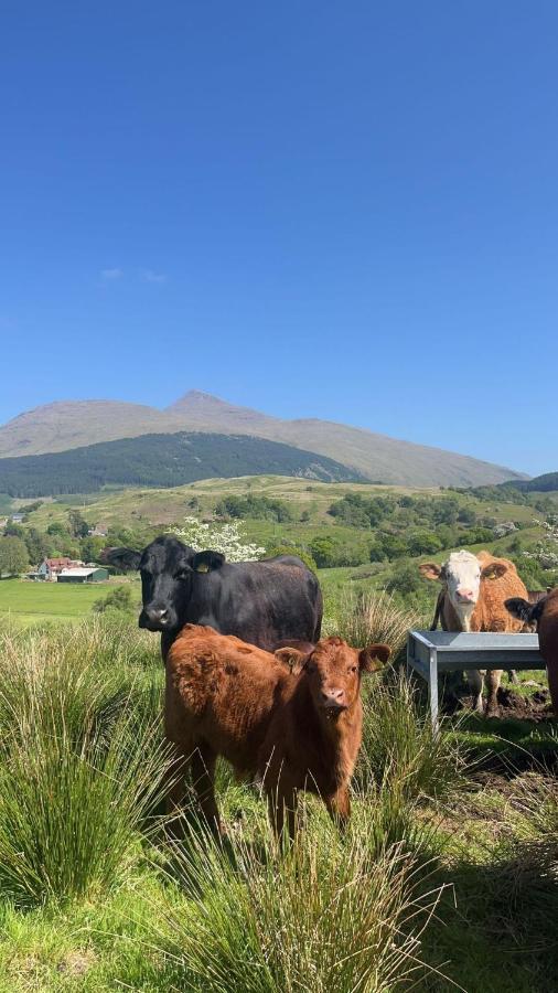 Tigh Na Cille Studio, Taynuilt Bagian luar foto